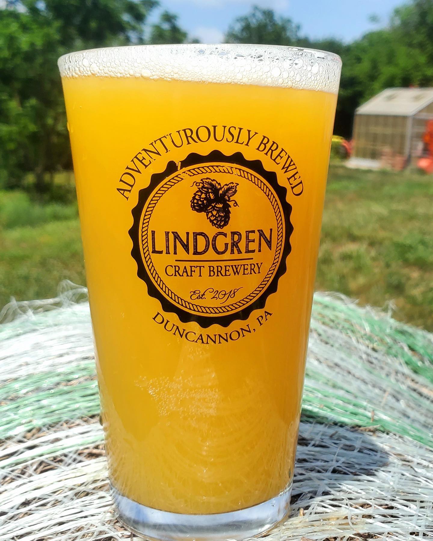 The World Aint All Snshine and Rainbows Lindgren Craft Brewery